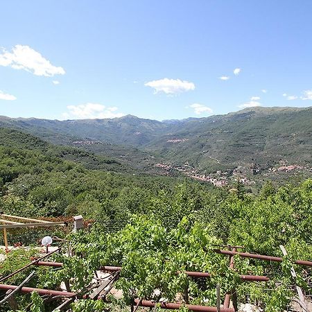 Agriturismo Nonni Devia Lucinasco Екстер'єр фото