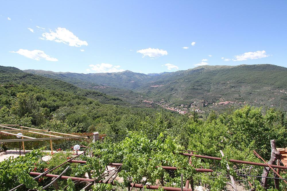 Agriturismo Nonni Devia Lucinasco Екстер'єр фото