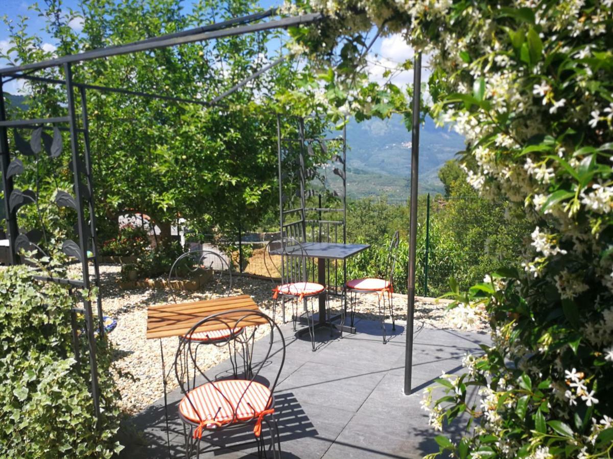 Agriturismo Nonni Devia Lucinasco Екстер'єр фото